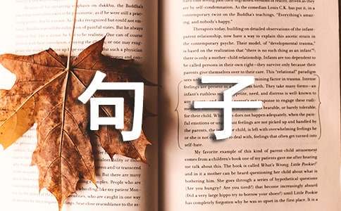 如何通过团队训练提升分卫配合能力_1