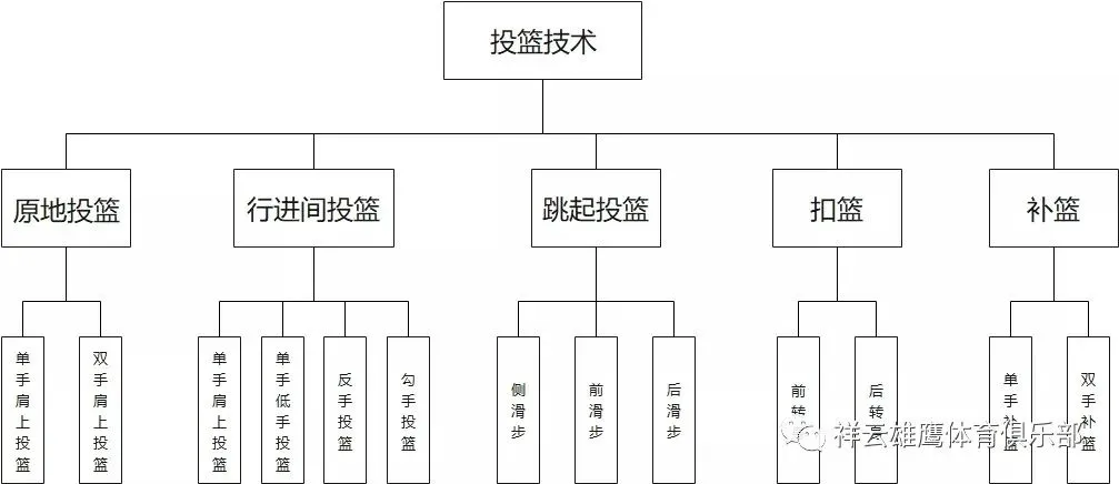篮球一周训练计划方案_2